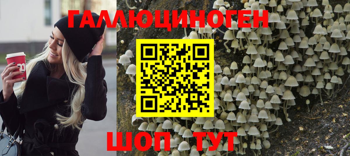 Кокаин  MDMA  НБОМе  Кодеин  Пугачёв  Вход с VPN  Гашиш  Alpha-PVP СОЛЬ кристаллы  Мефедрон  
